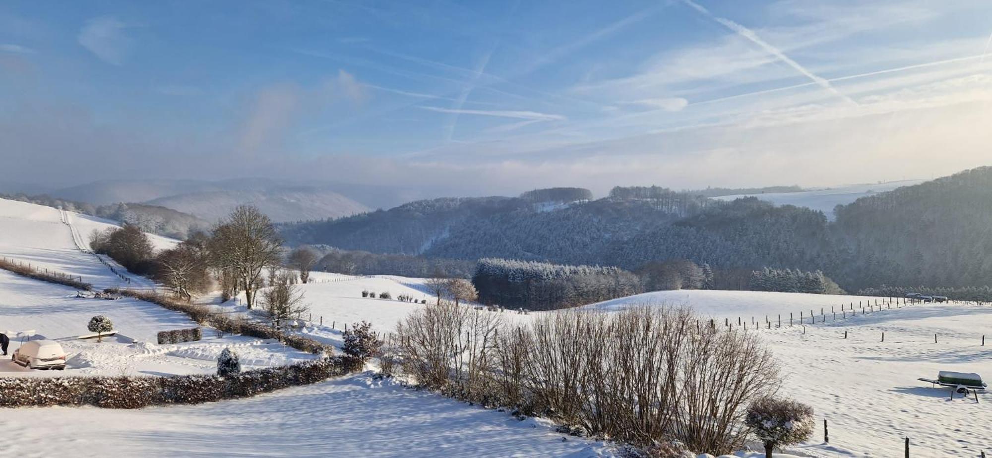 Fewo-Eifel-Morsbach Schleiden Kültér fotó